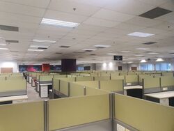 New Tech Park (D19), Office #446931371